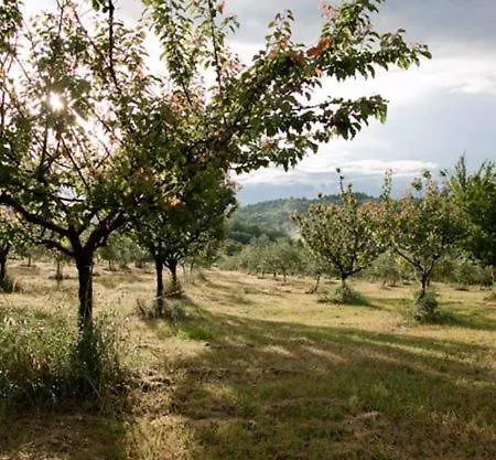 Azienda Agrituristica Podere Pratovecchio Farm stay Siena