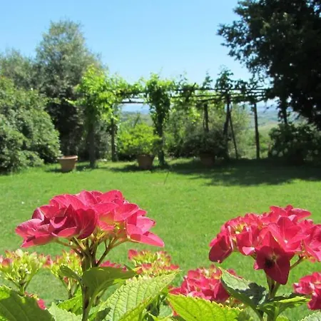 Azienda Agrituristica Podere Pratovecchio Farm stay *