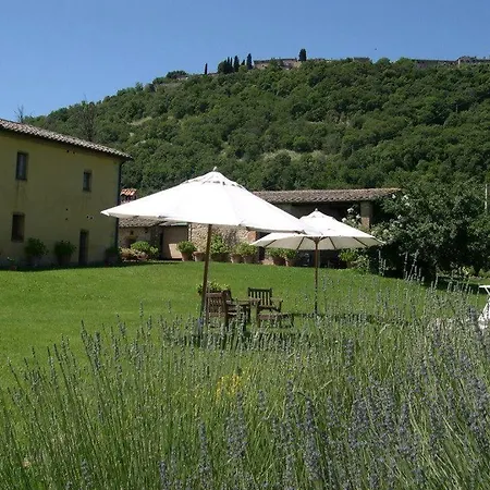 Farm stay Azienda Agrituristica Podere Pratovecchio Siena