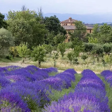 Azienda Agrituristica Podere Pratovecchio Alloggio per agriturismo *